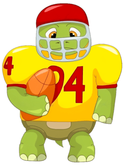 Steady Turtle
